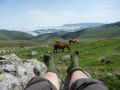 Pausenblick