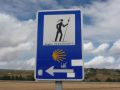 Gender: Vamos Peregrinas